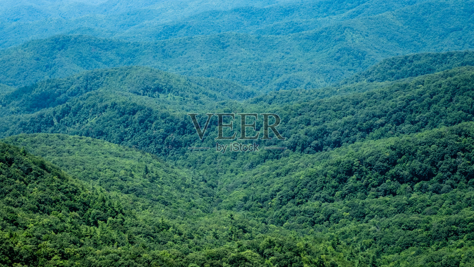 美国北卡罗来纳州美国东南部树木繁茂的山麓。照片摄影图片