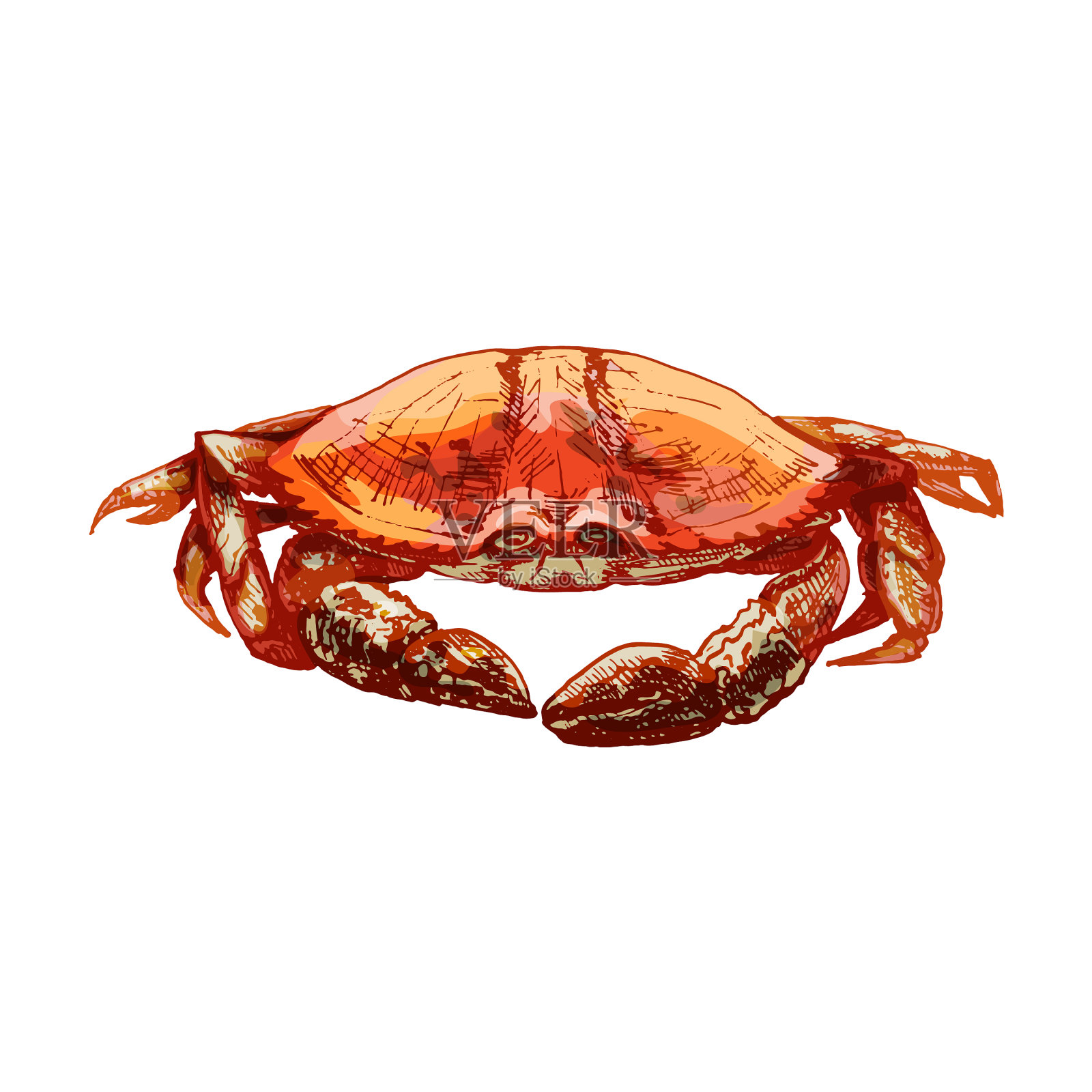 螃蟹被隔离在黑白复古版画上设计元素图片