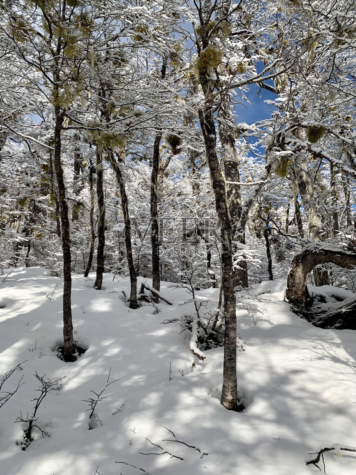 美丽的冬天的风景照片摄影图片