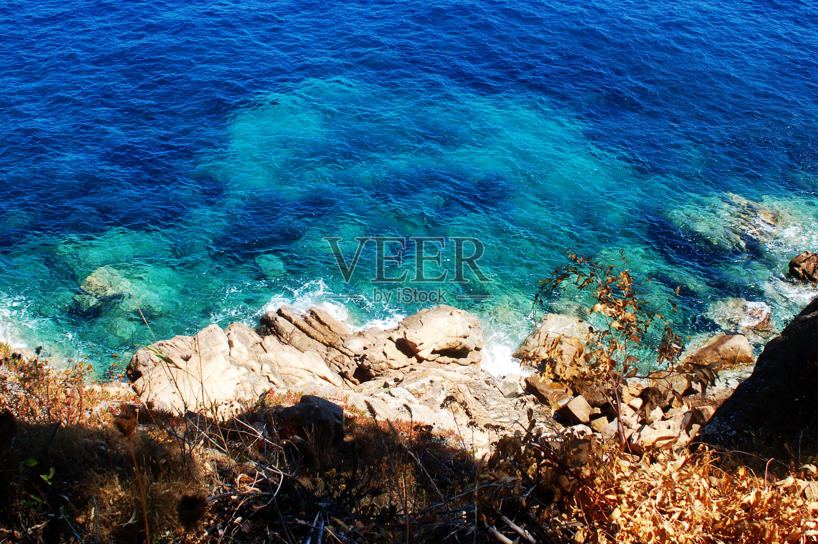 百合花岛照片摄影图片
