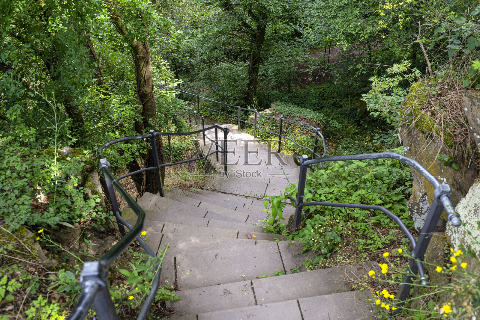 钢筋混凝土楼梯在茂密的森林里，往下走。照片摄影图片