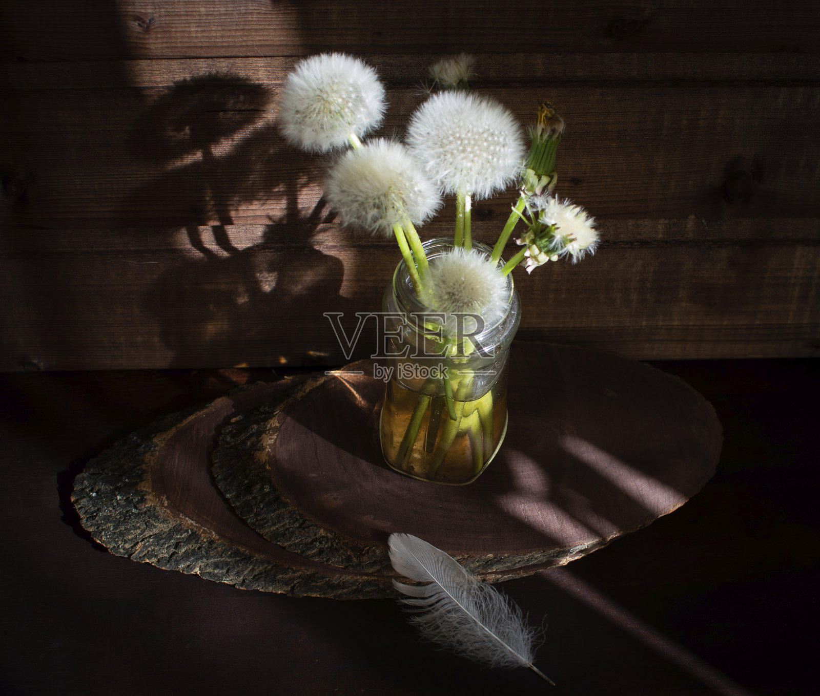 静物画照片摄影图片