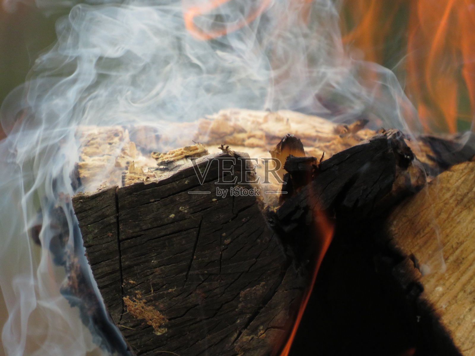 小的公平照片摄影图片