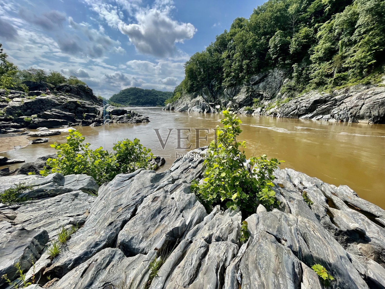 波托马克河-弗吉尼亚州照片摄影图片