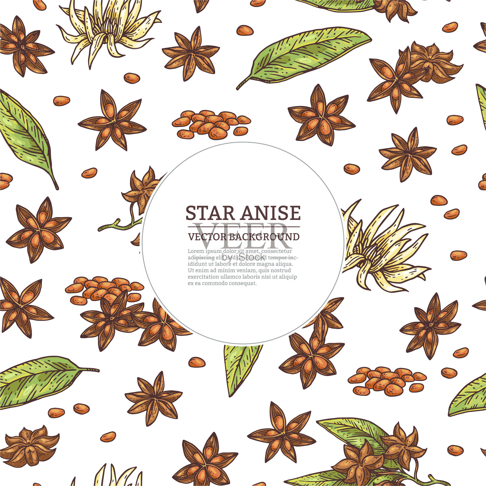 背景与茴芹香料和文本框架插画图片素材