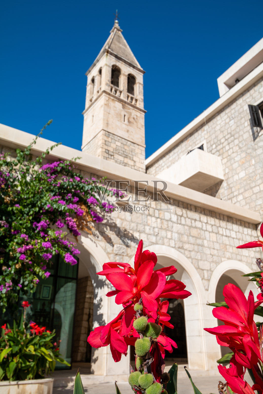 克罗地亚斯普利特的圣母健康教堂和修道院的美人蕉百合照片摄影图片