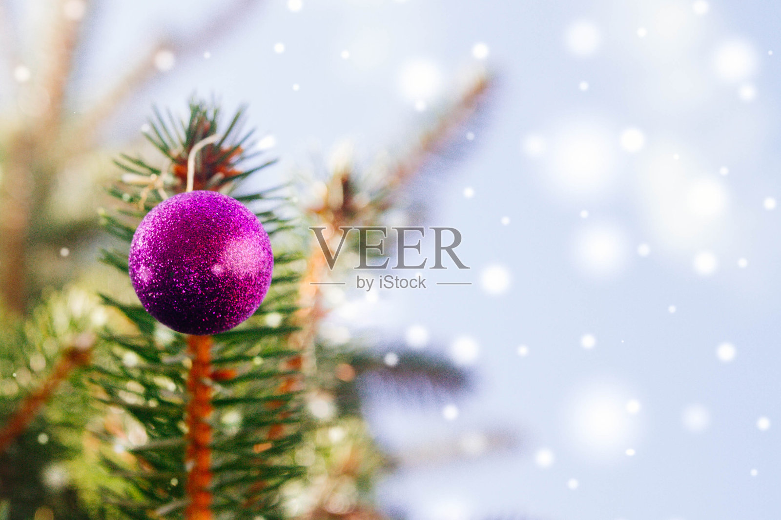 树枝上的紫色圣诞球。蓝色的抽象背景照片摄影图片