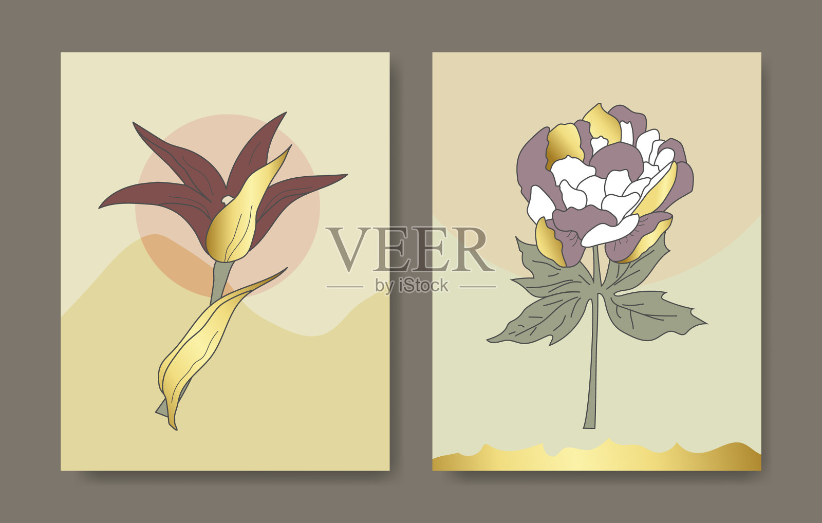 豪华封面设计模板热带线条艺术插画图片素材