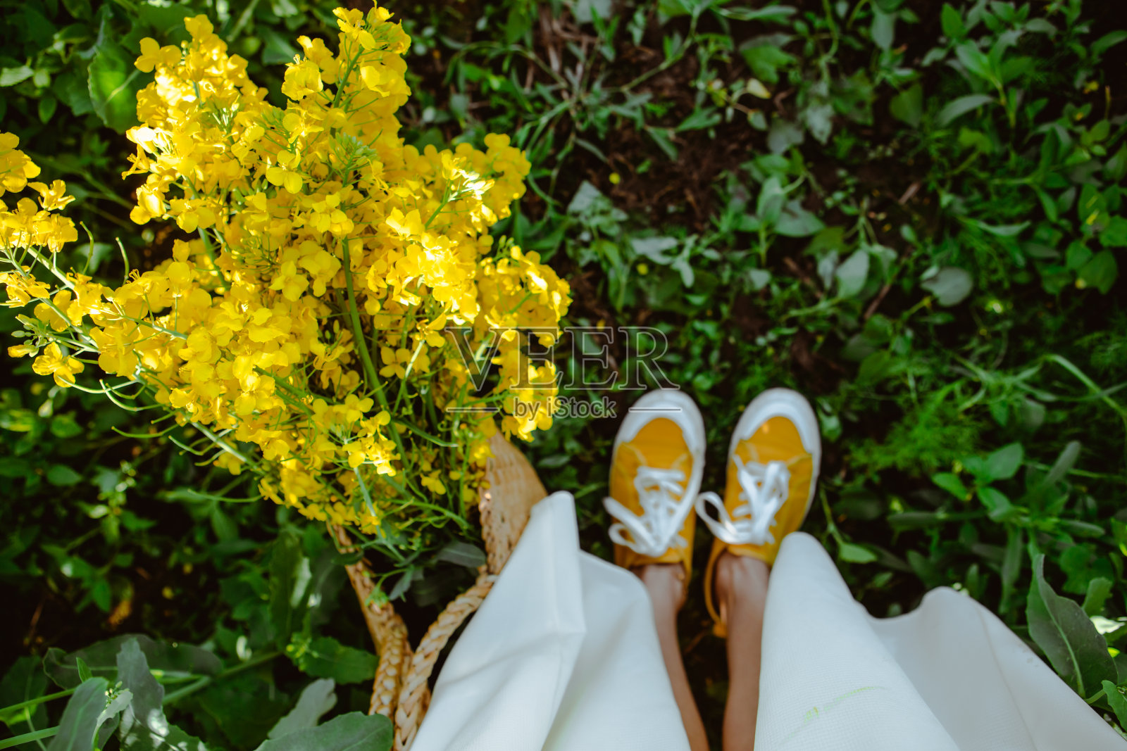 油菜地里，一个妇女手里拿着草袋照片摄影图片