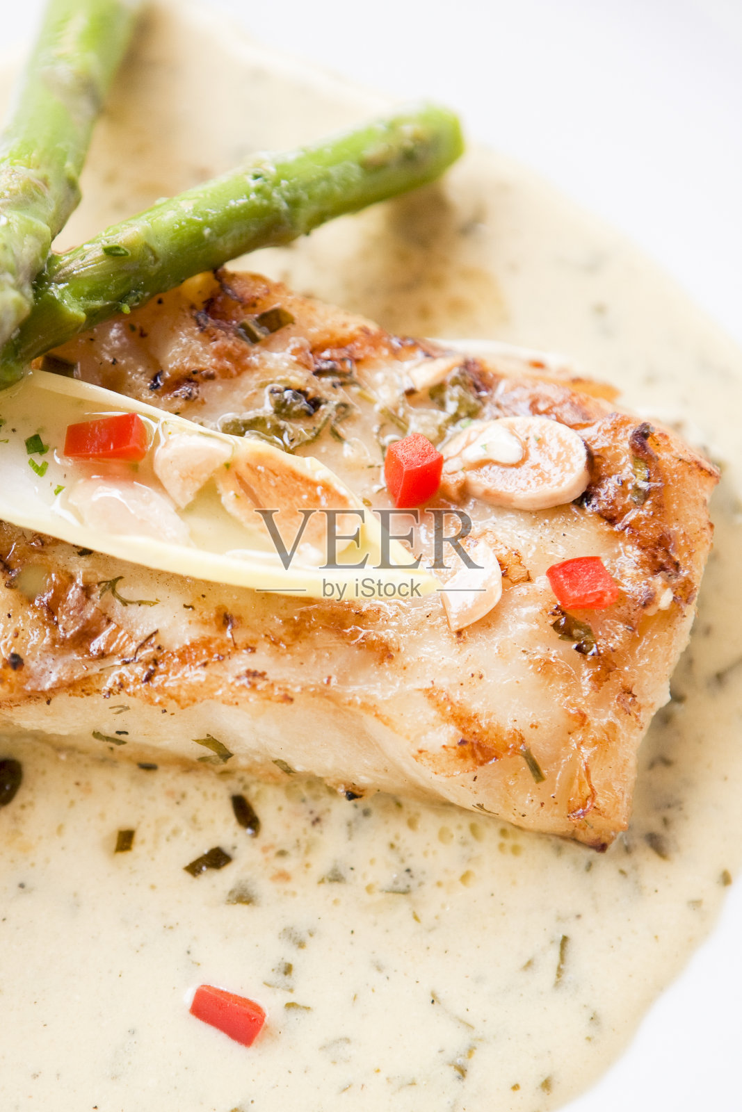 白色的鱼照片摄影图片