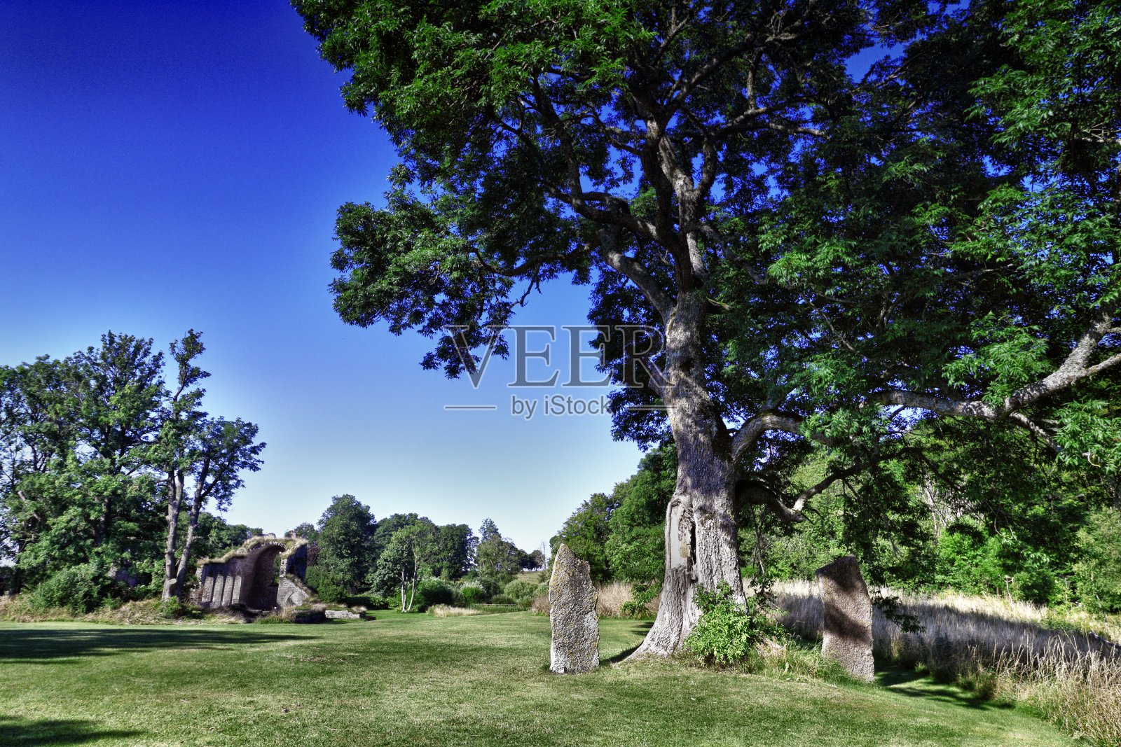 毁了照片摄影图片