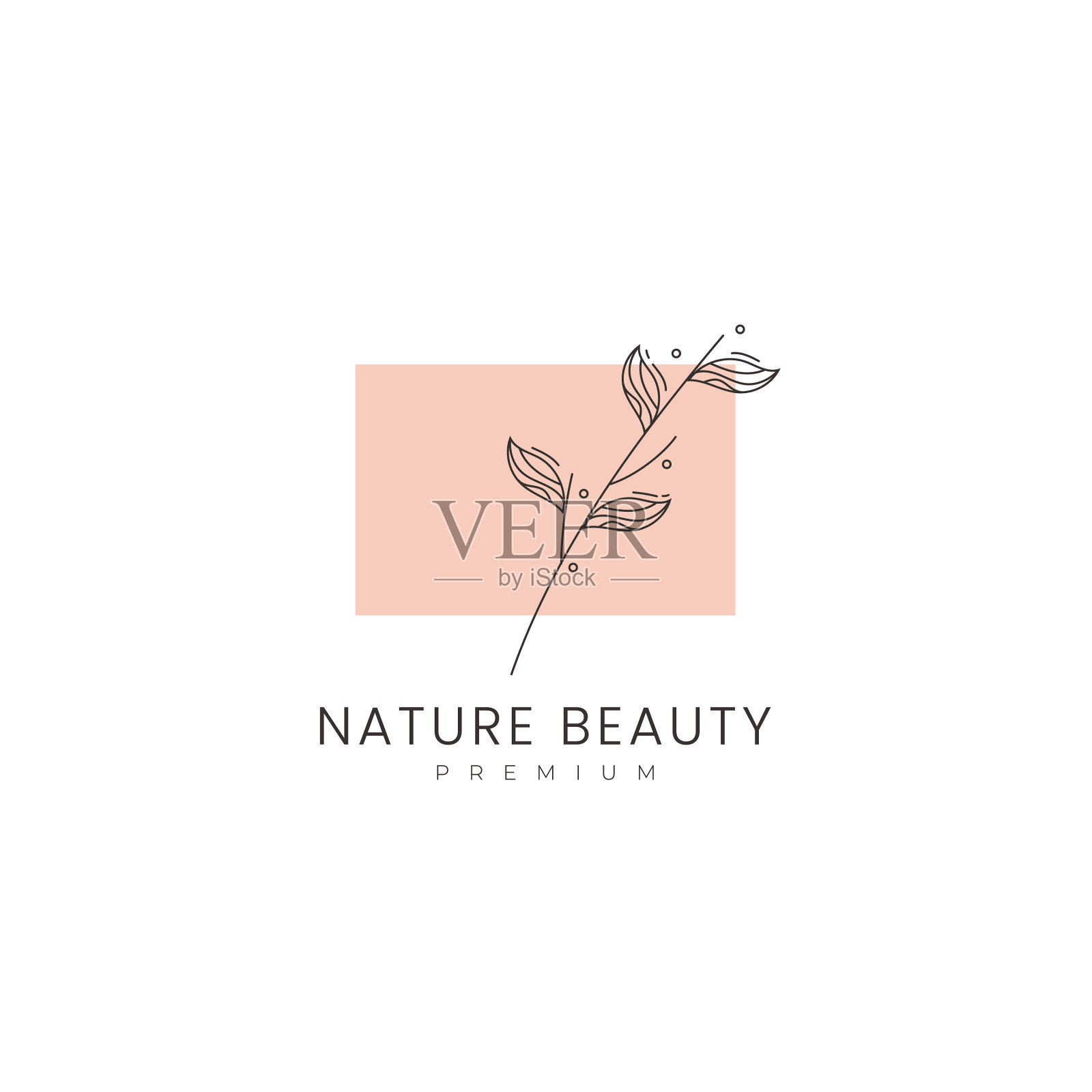 自然美容和水疗标志与极简主义线插画图片素材