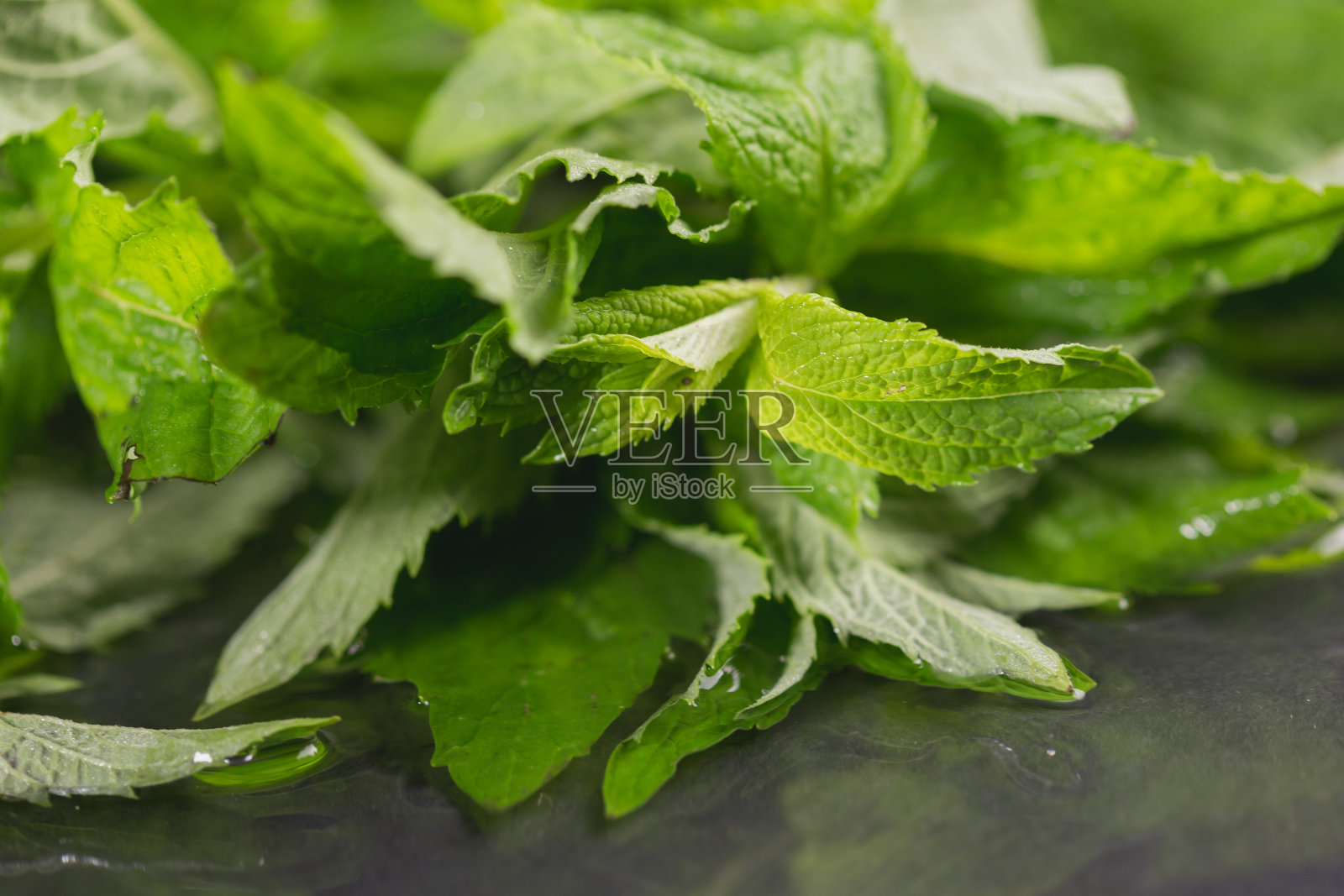 黑色背景下的薄荷叶。桌上放着薄荷照片摄影图片