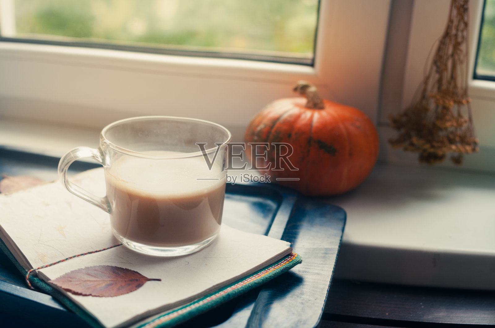 一个南瓜南瓜和一杯拿铁咖啡与植物燕麦大豆或杏仁牛奶与空白记事本笔记本在桌子上深蓝色纹理复制空间背景概念工作概念照片摄影图片
