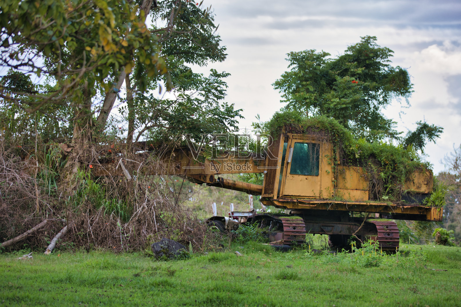 废弃的反铲照片摄影图片
