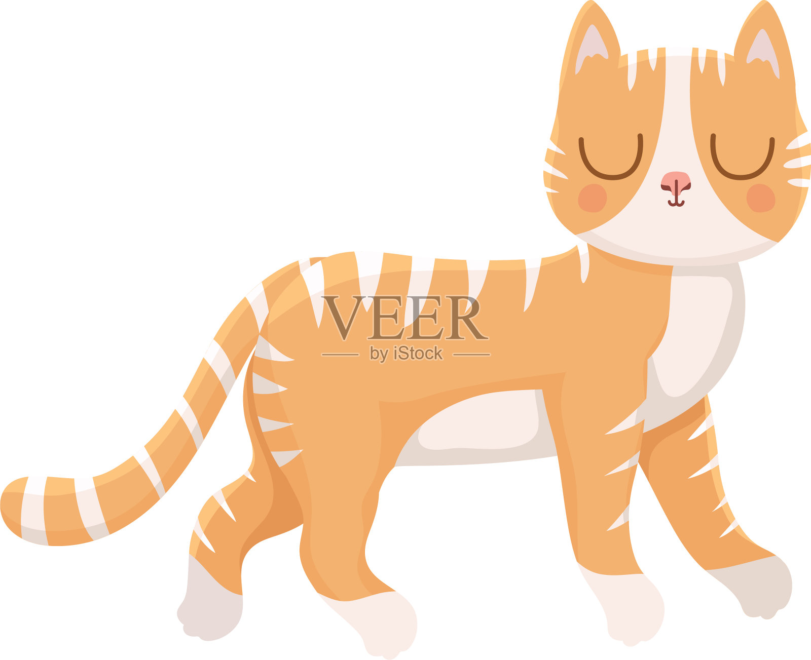 漂亮的猫插画图片素材