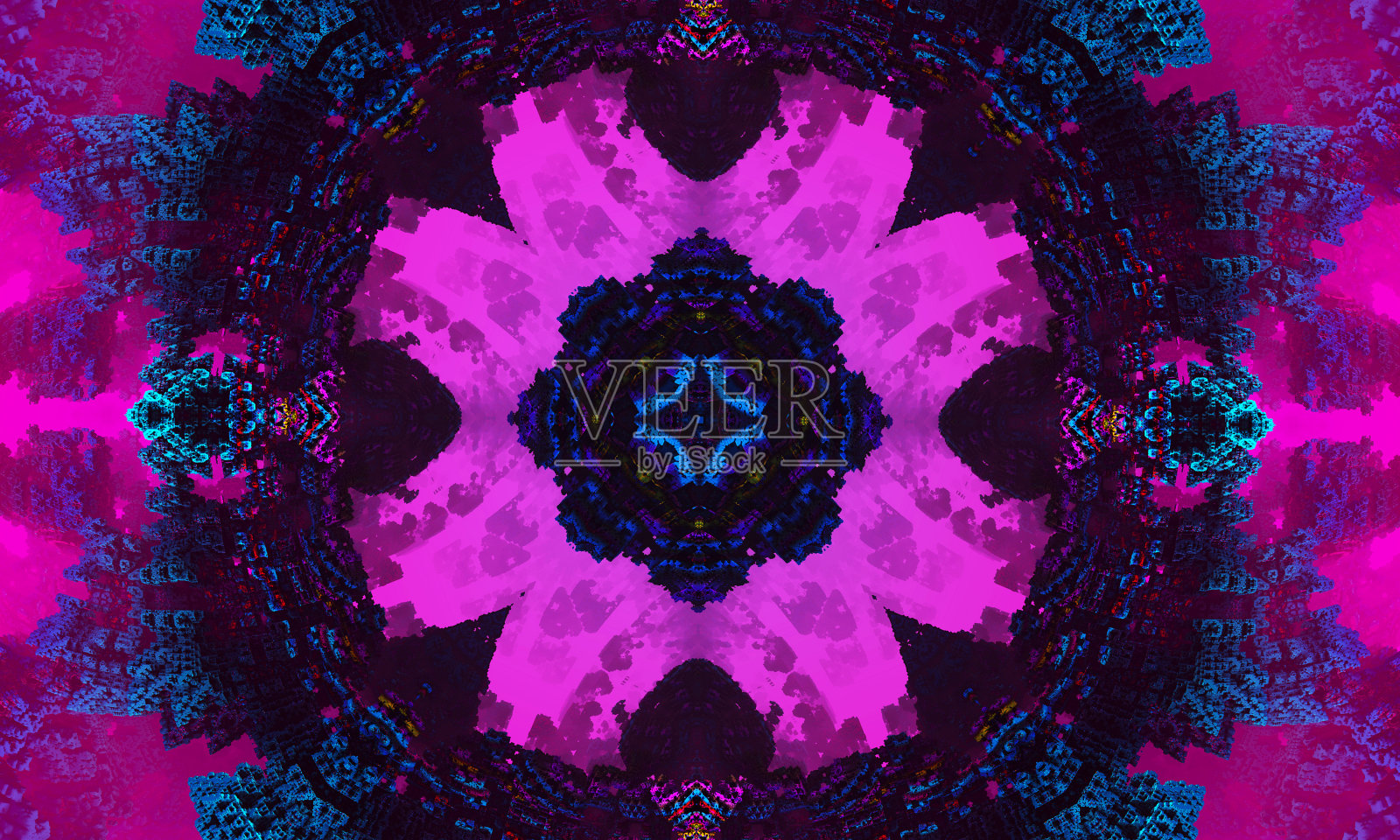 千变万化的花园花的形象三色堇，石竹类似曼荼罗照片摄影图片