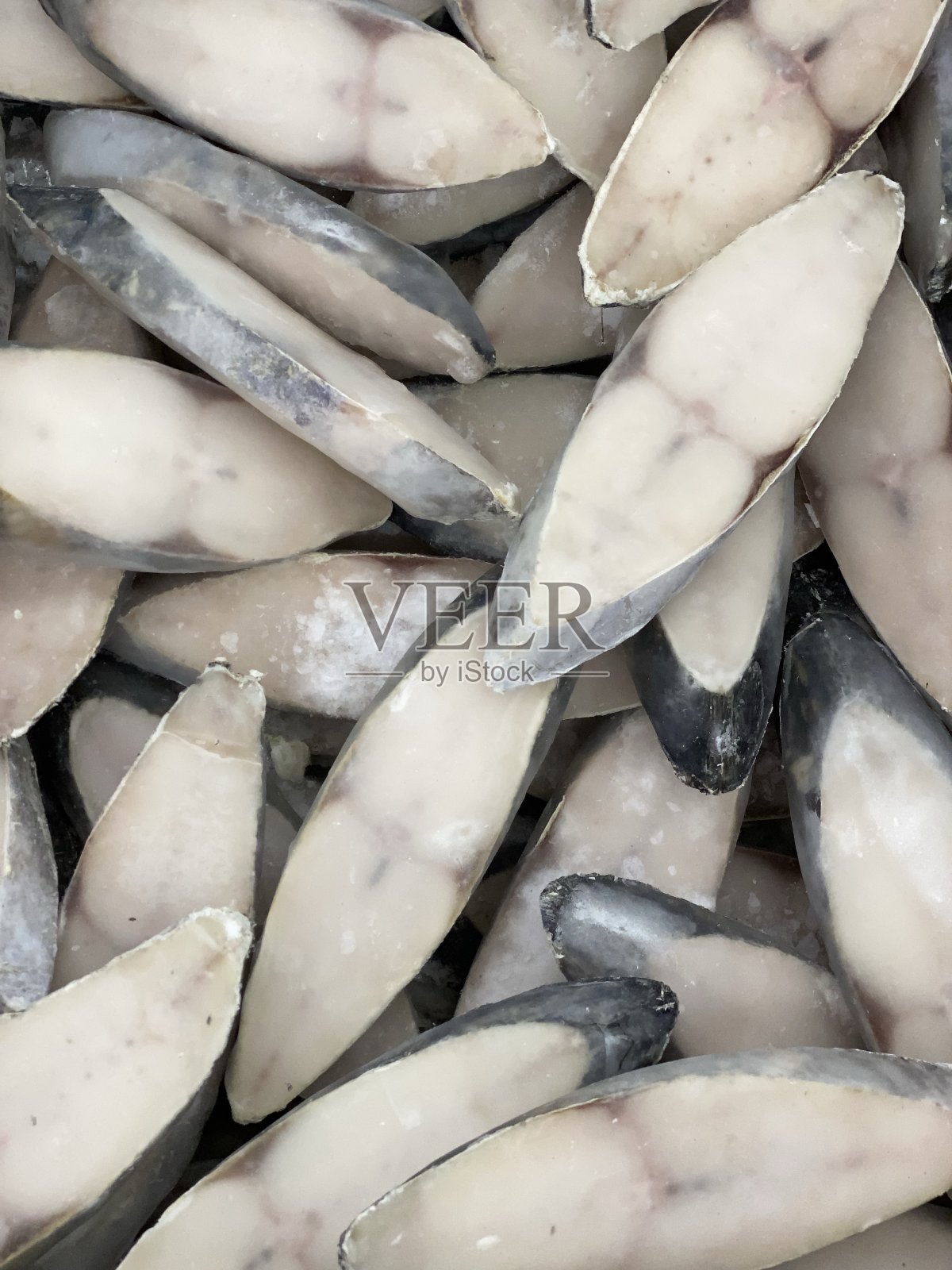 冷冻鱼肉类照片摄影图片