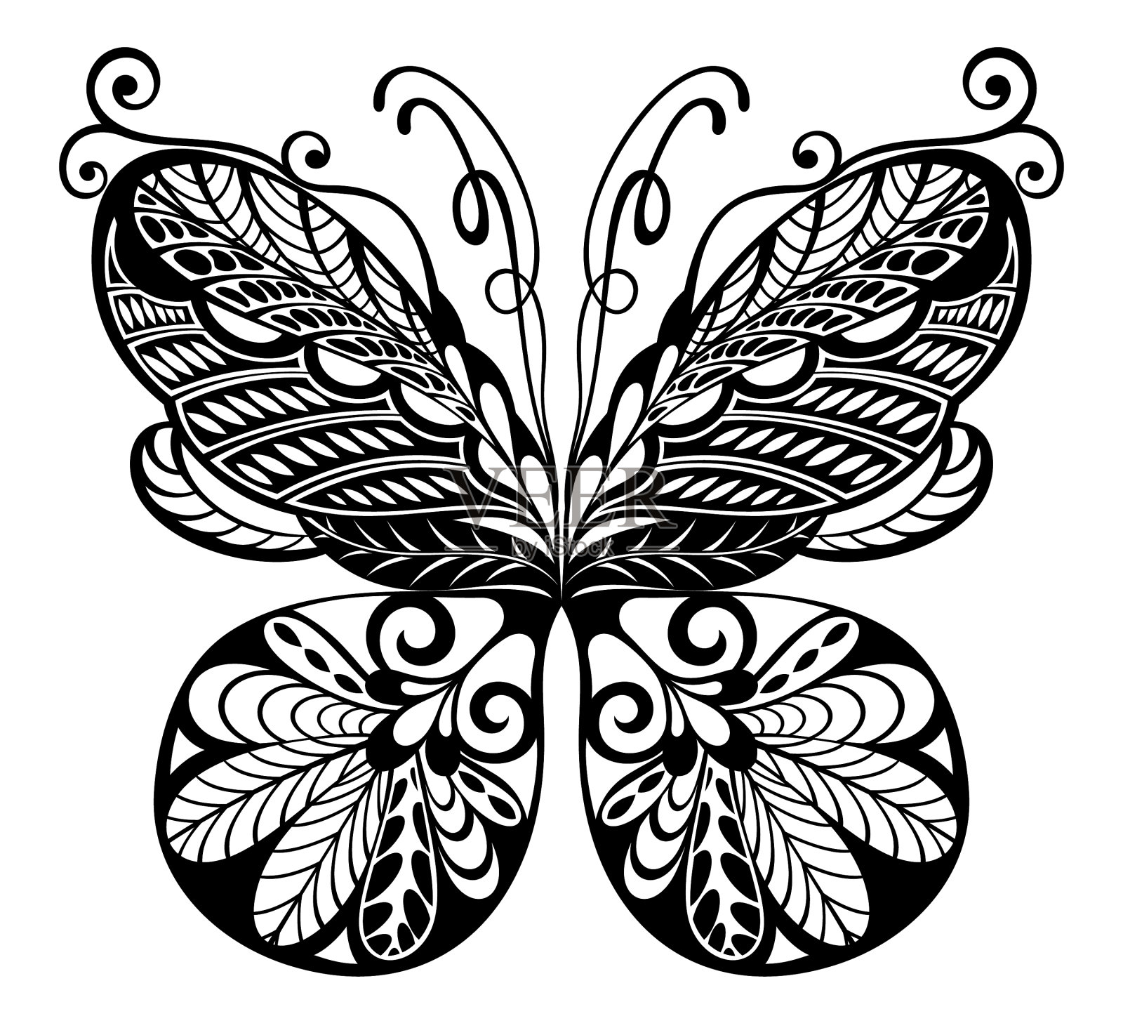 幻想的蝴蝶纹身插画图片素材