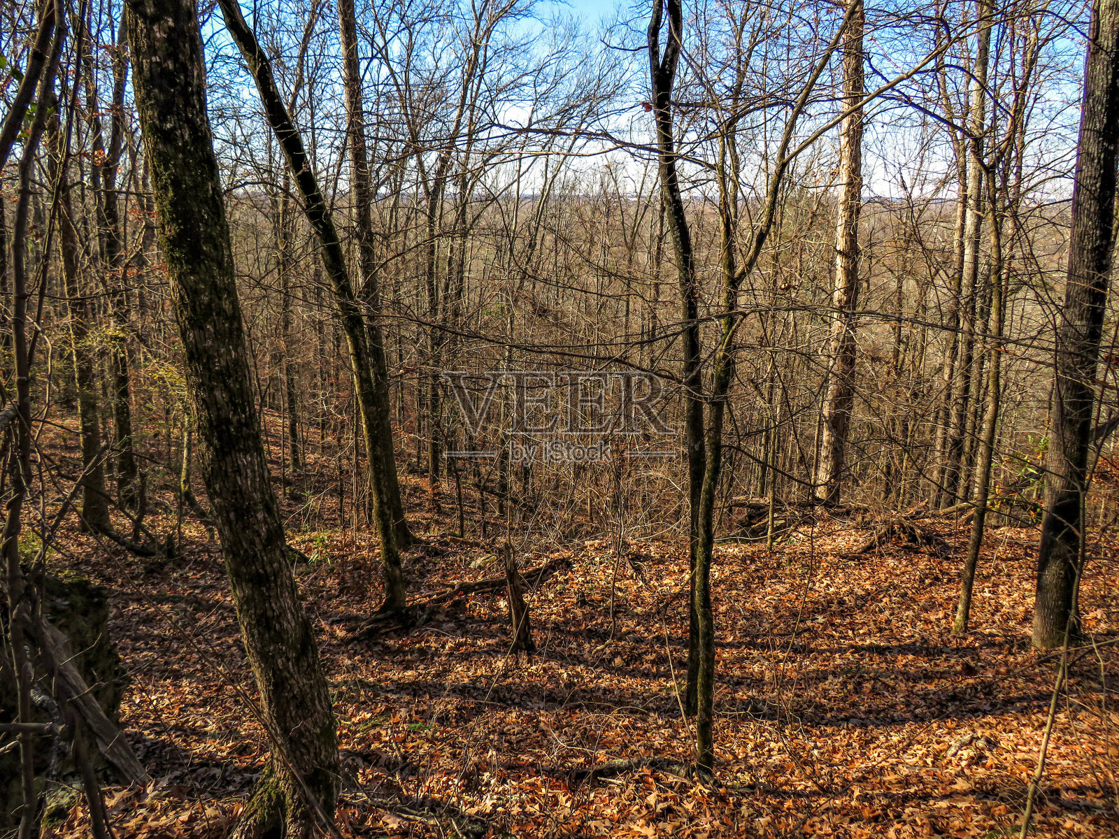 布朗山下坡照片摄影图片