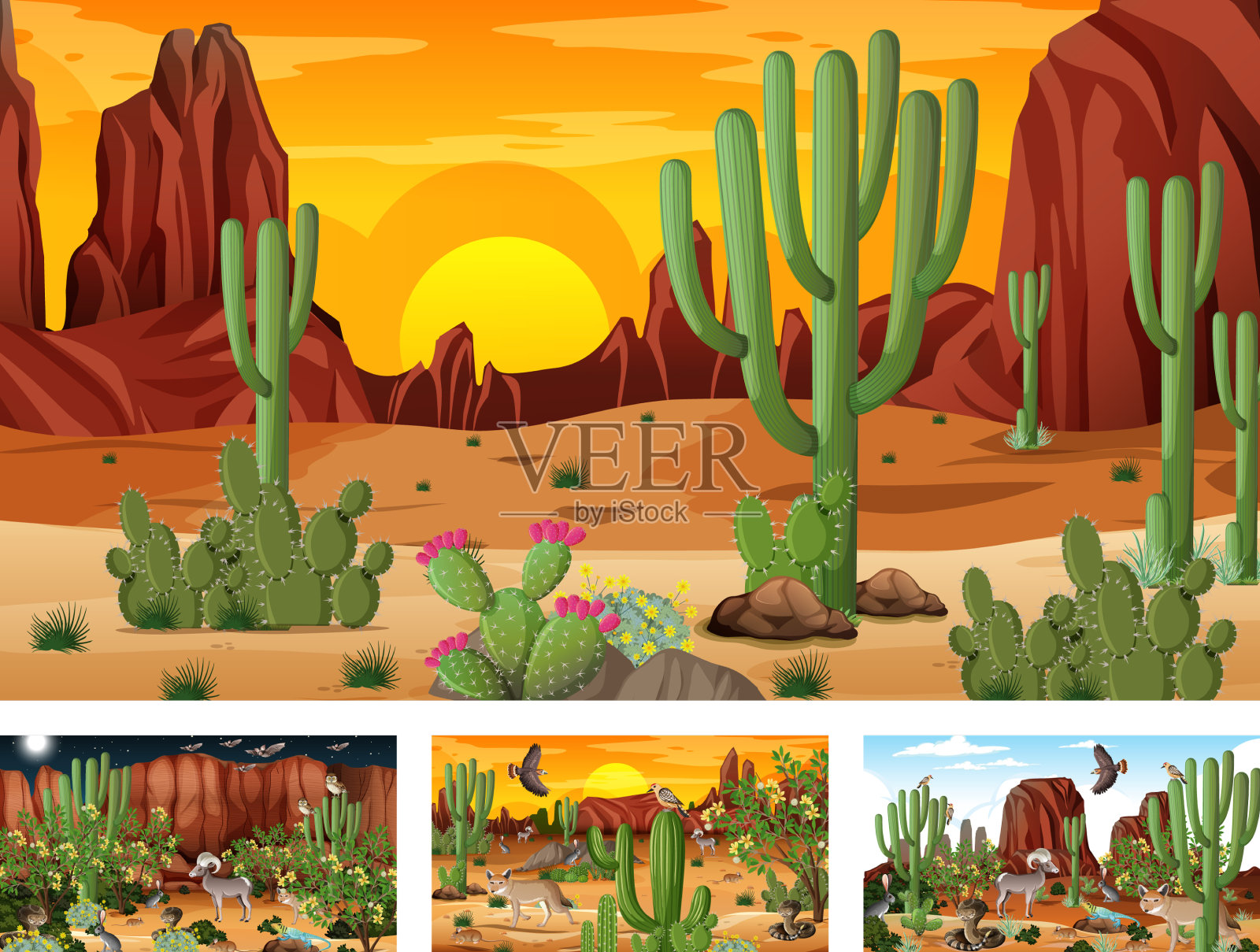 不同场景的沙漠森林景观插画图片素材