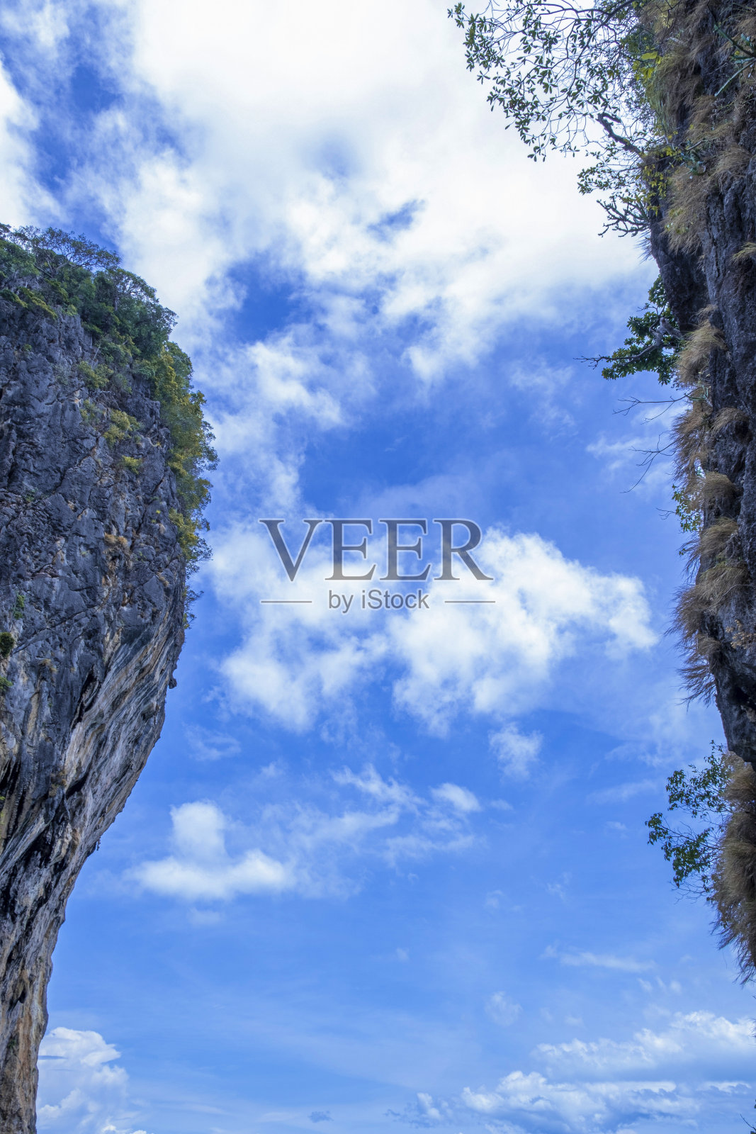 山顶上长着一棵大树。美丽的蓝天和抽象的形状与复制空间。登山崖旅游目的地。照片摄影图片