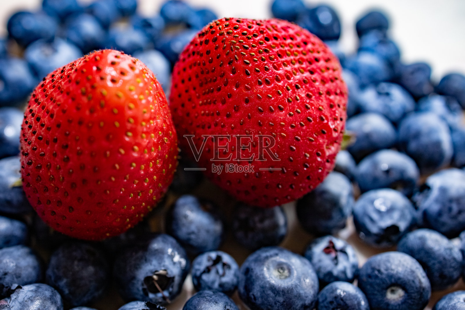 贝瑞背景照片摄影图片