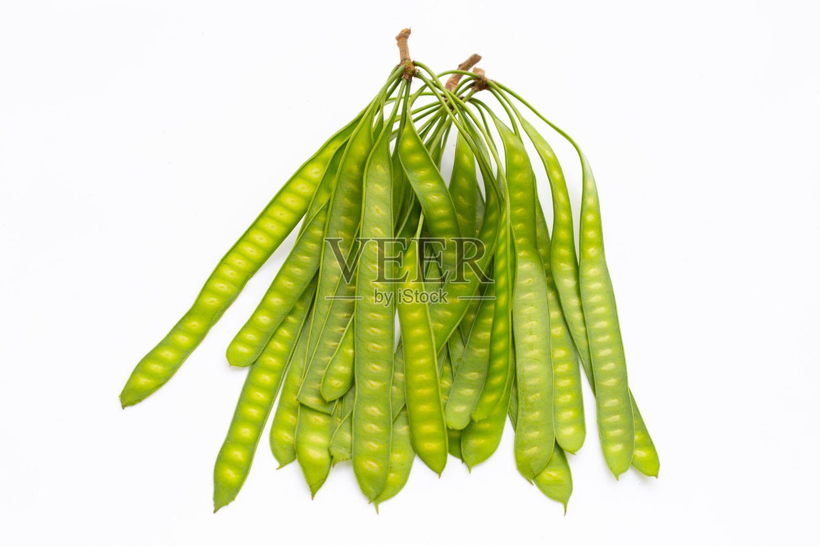 白底银合欢的幼果。照片摄影图片