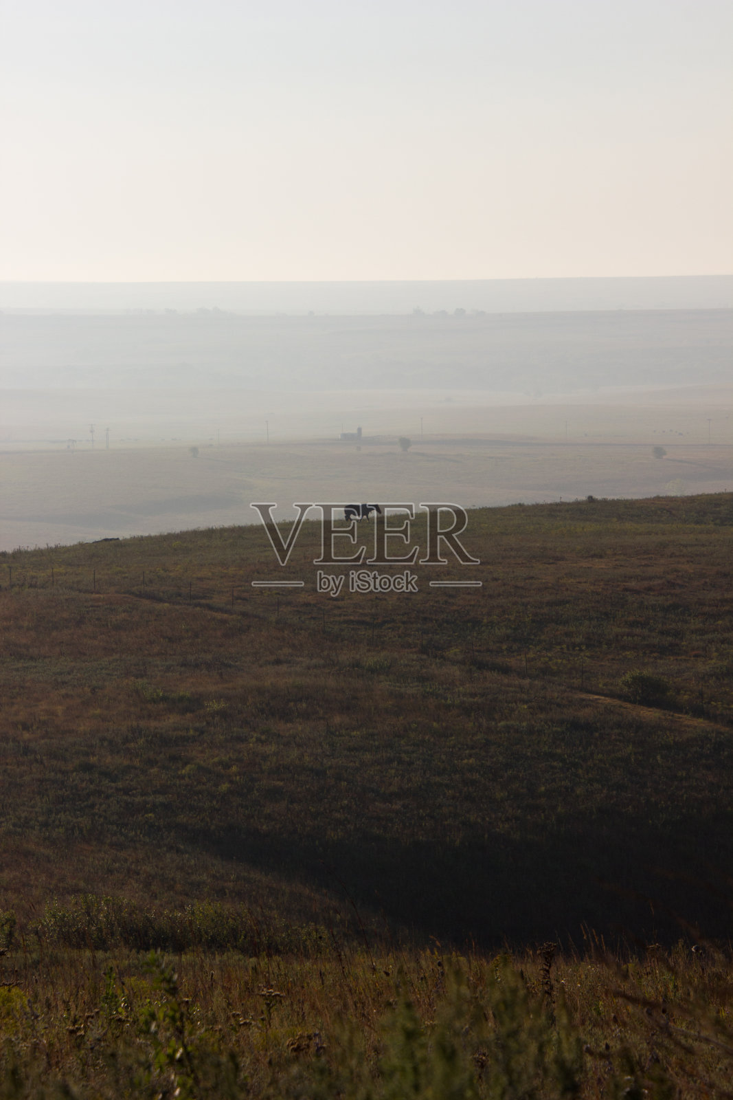 马在远处开阔的田野里散步照片摄影图片