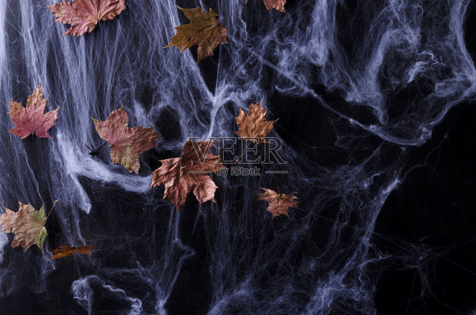 万圣节的背景。网用干叶暗调，选择性聚焦照片摄影图片