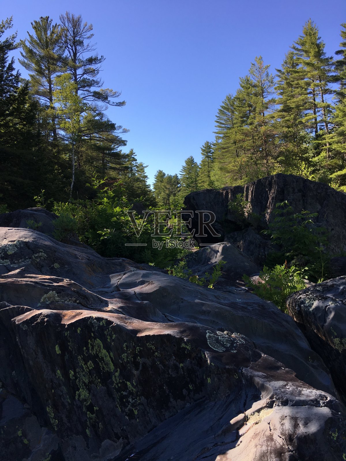 在一个阳光明媚的夏日里，河边的岩石和树木照片摄影图片