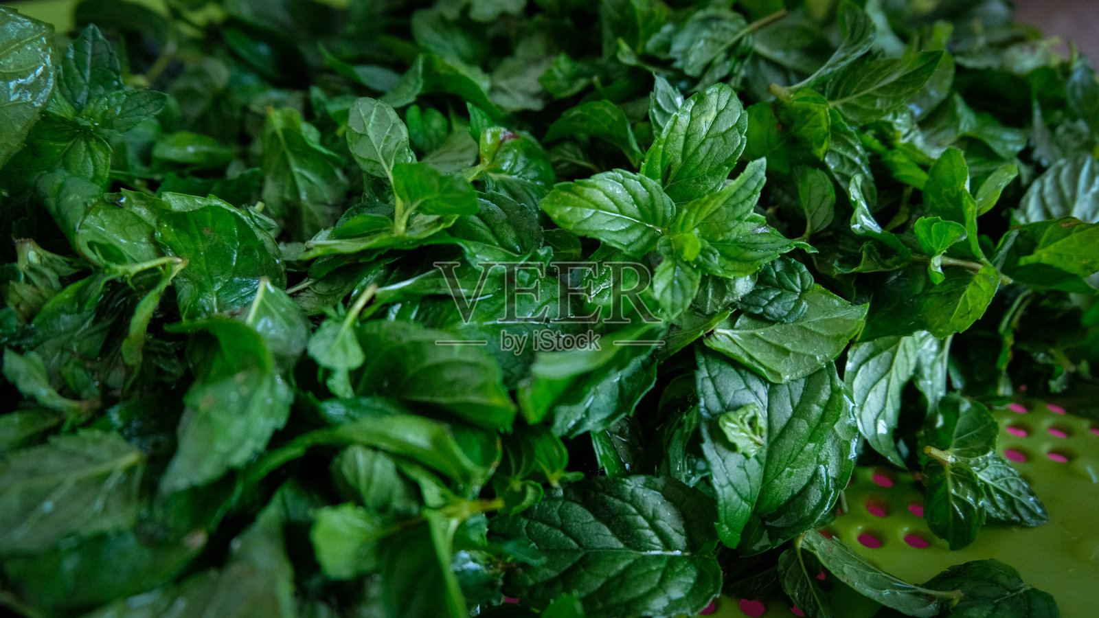 薄荷叶，健康饮食，蔬菜照片摄影图片