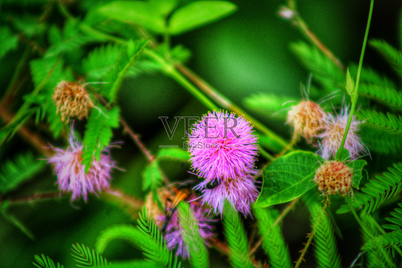 流行的颜色照片摄影图片