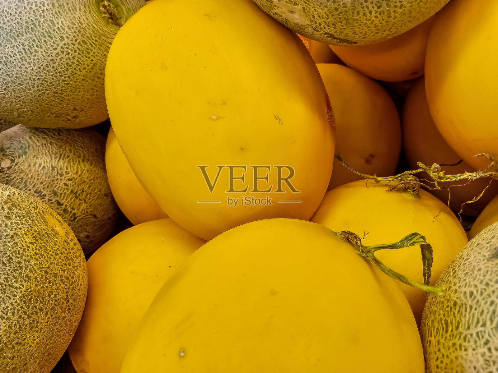 里面是黄色的苏芮黄瓜果实很甜照片摄影图片