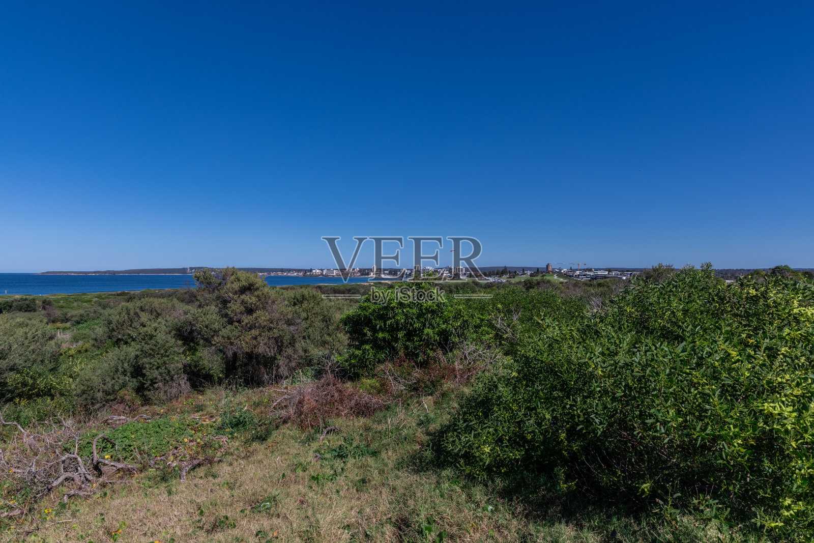 澳大利亚新南威尔士州悉尼的克罗努拉海滩和建筑高层公寓的全景照片摄影图片