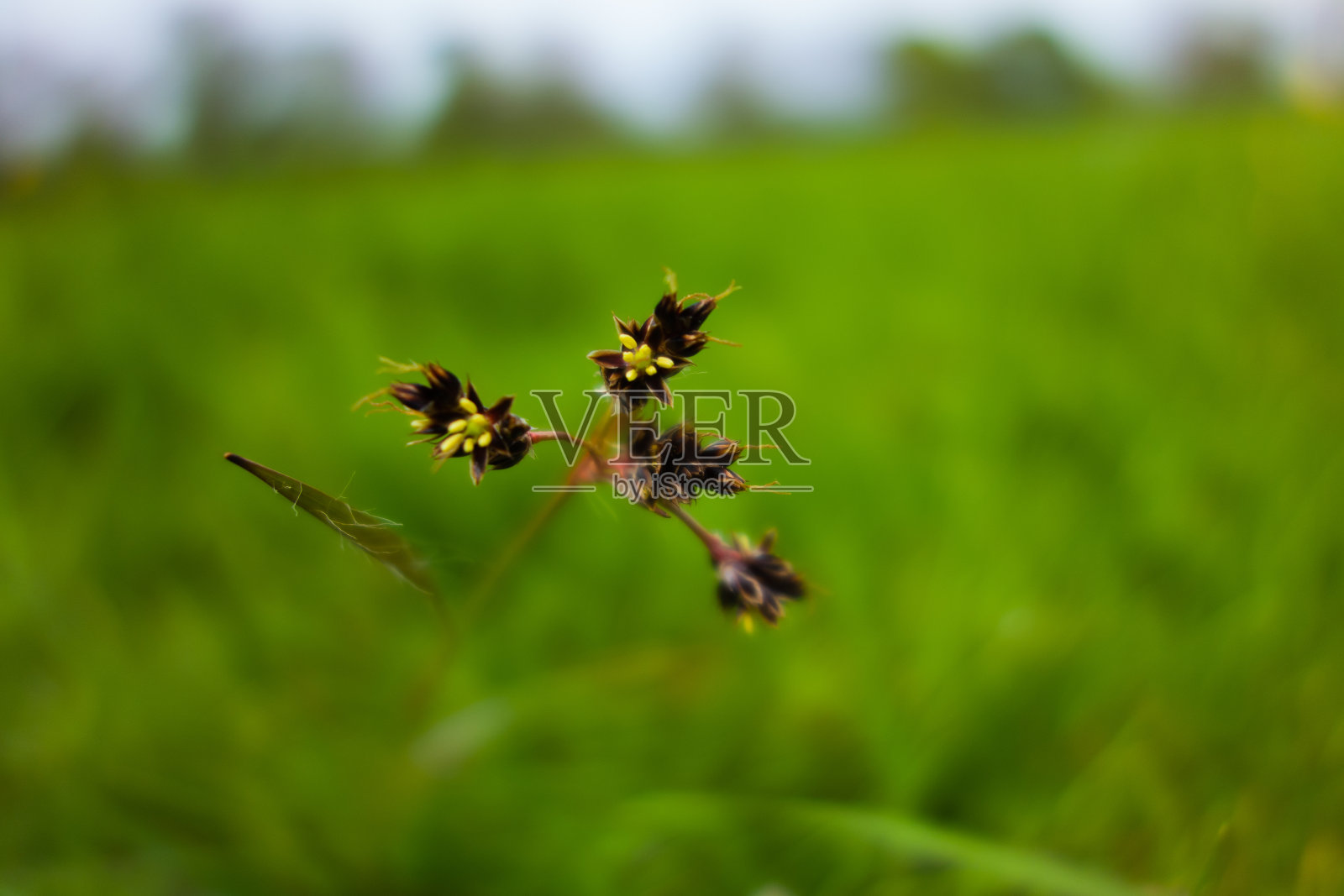 有接缝的冲照片摄影图片
