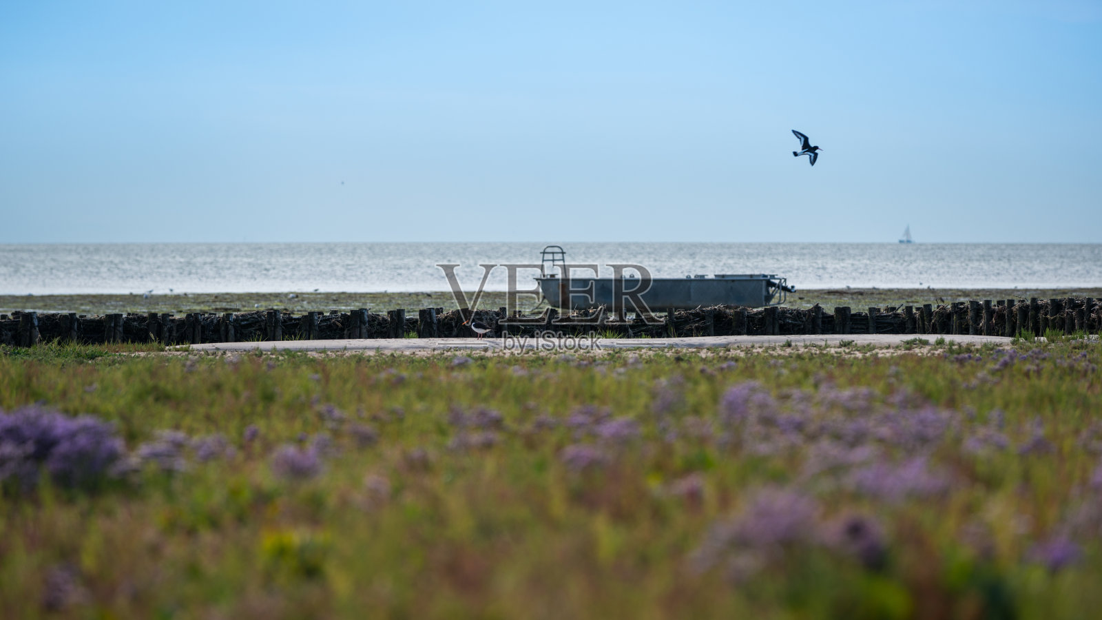 阿姆鲁姆北海岛照片摄影图片