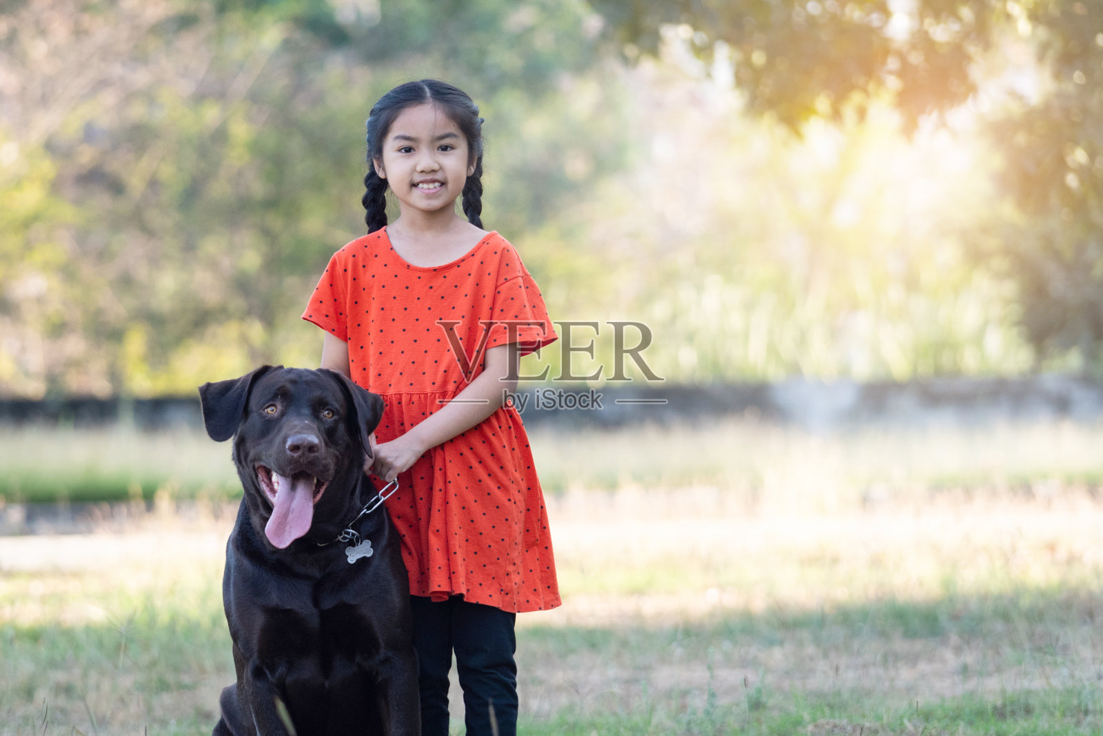 一个可爱的东南亚小女孩，穿着红色的衣服，晚上和她的大狗在后院或前院玩耍。宠物情人的概念照片摄影图片
