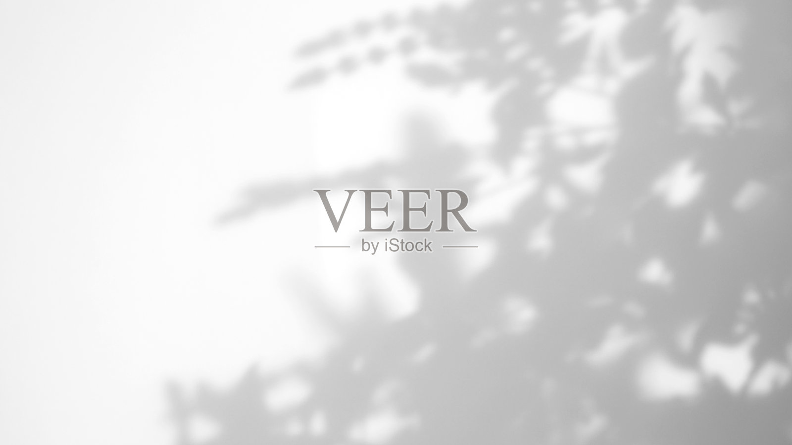 在白色纹理背景上留下自然阴影覆盖，用于覆盖产品介绍，背景和模型，夏季季节概念照片摄影图片