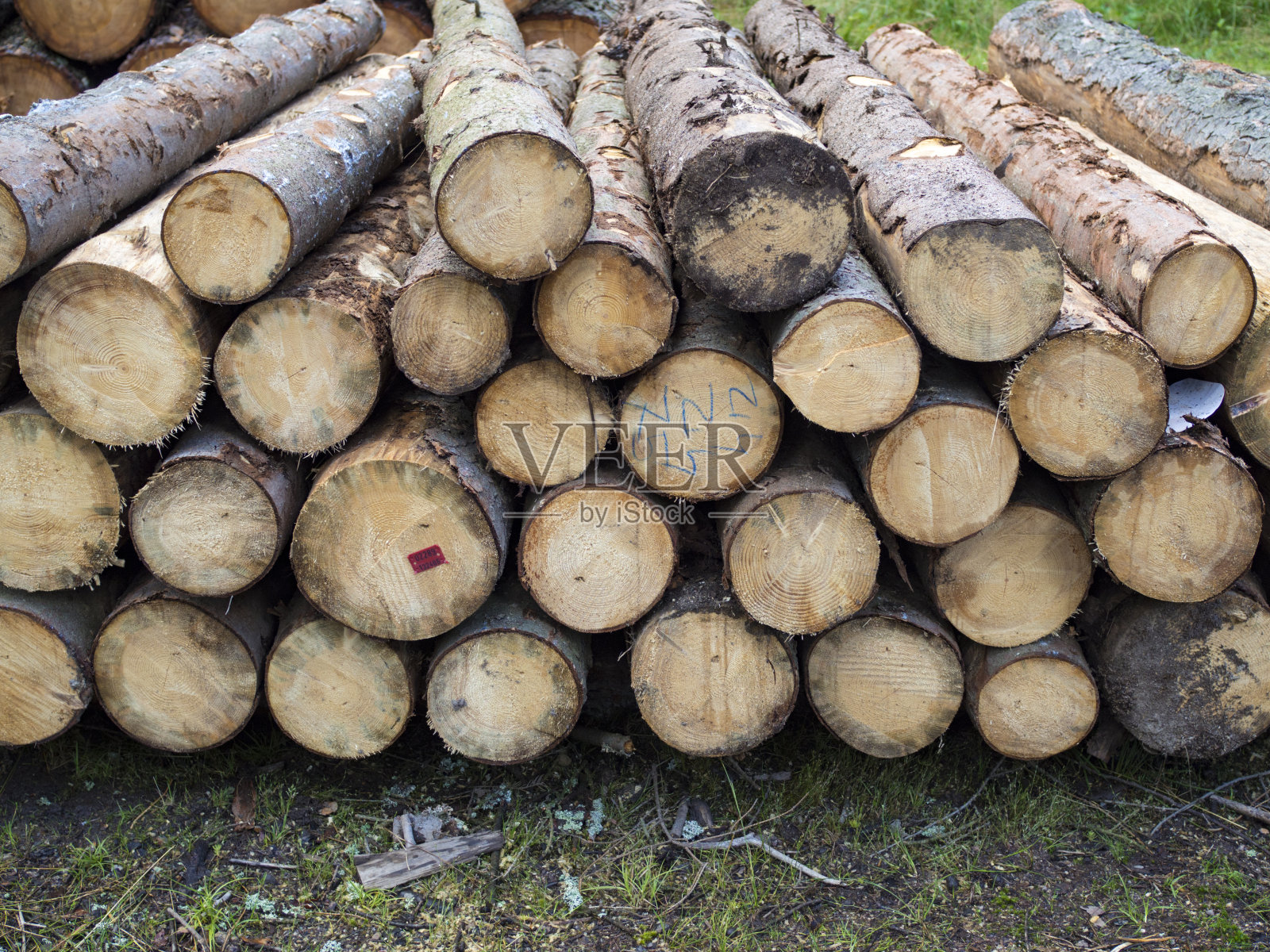 木头块照片摄影图片