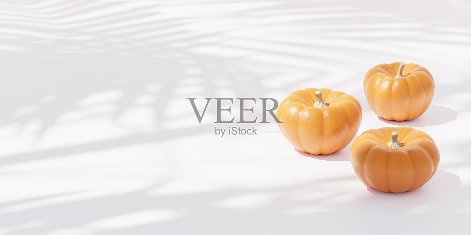 南瓜在白色的背景广告在秋季假期或销售，3d横幅渲染照片摄影图片