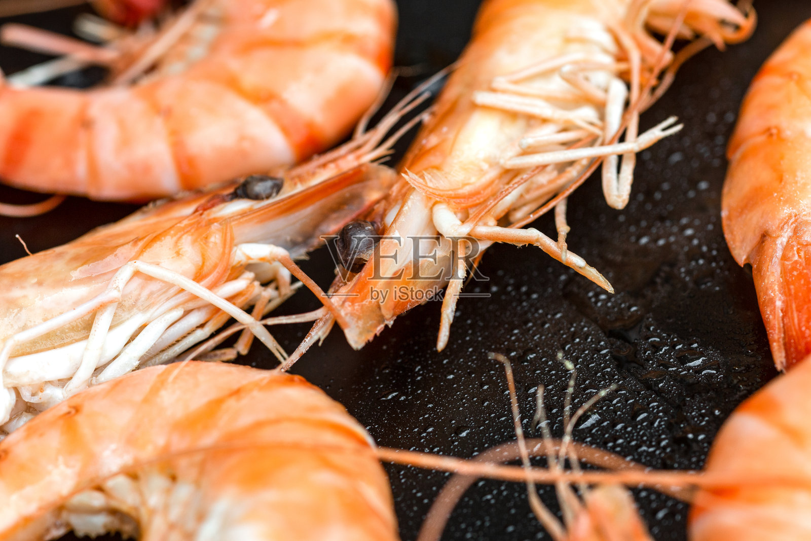 虾板3照片摄影图片