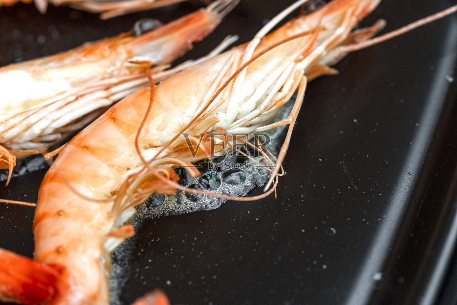 虾板4照片摄影图片