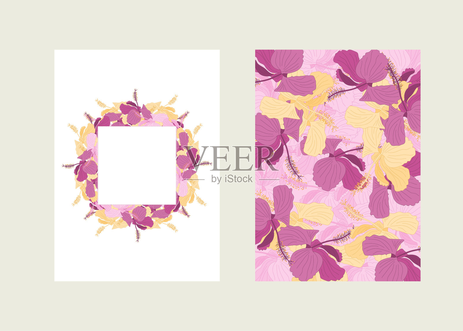 芙蓉花插画图片素材