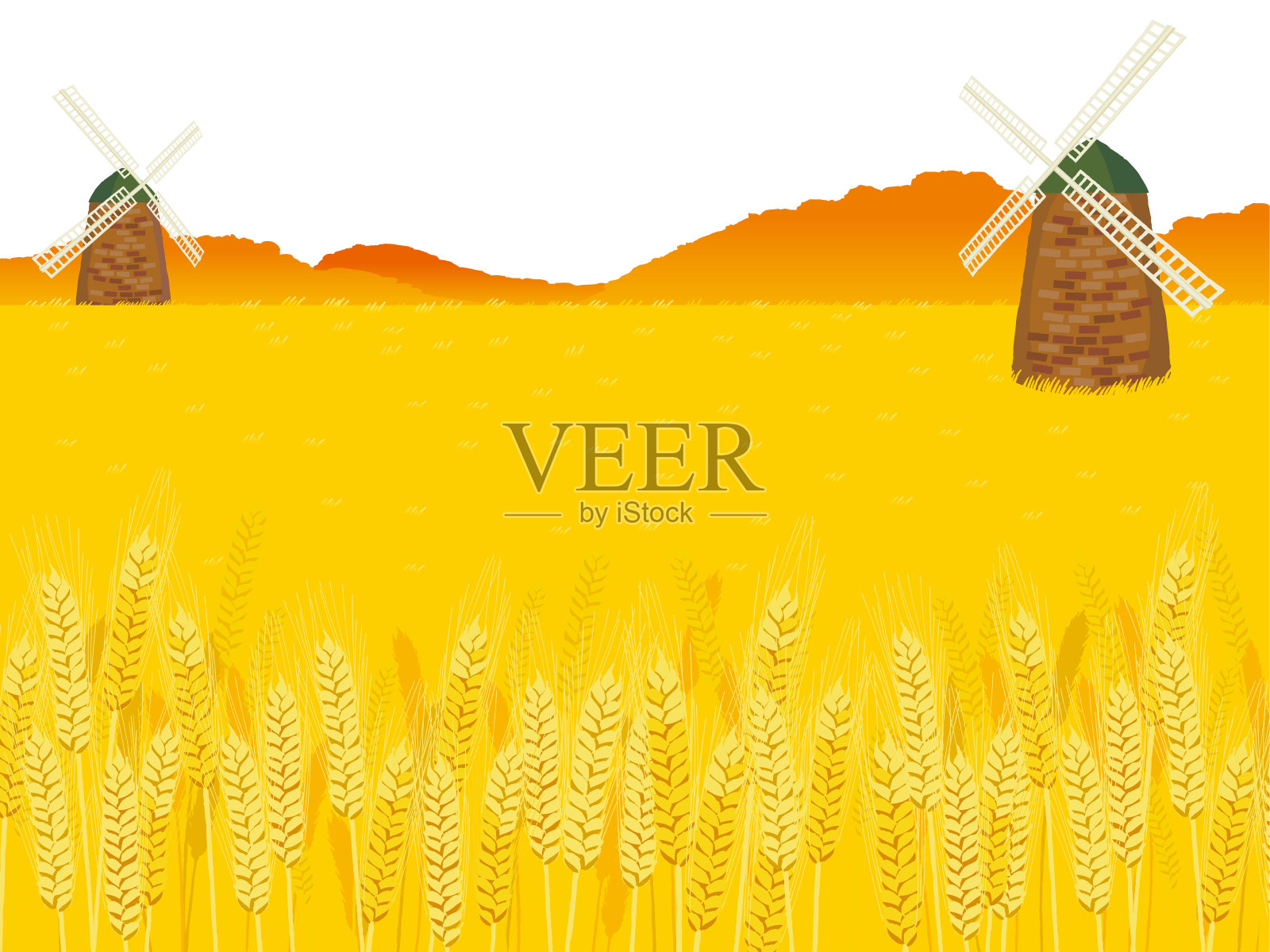 一片成熟的麦田，远处有磨坊。插画图片素材