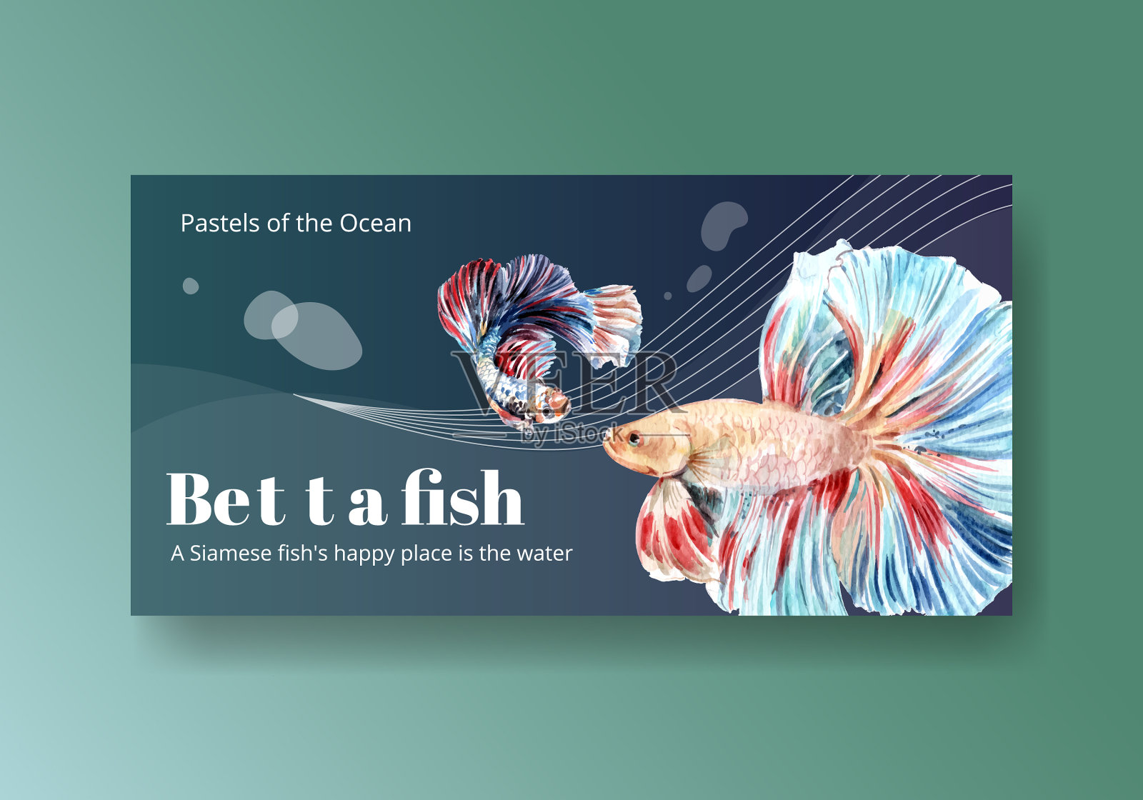 捻模板与暹罗战斗鱼插画图片素材