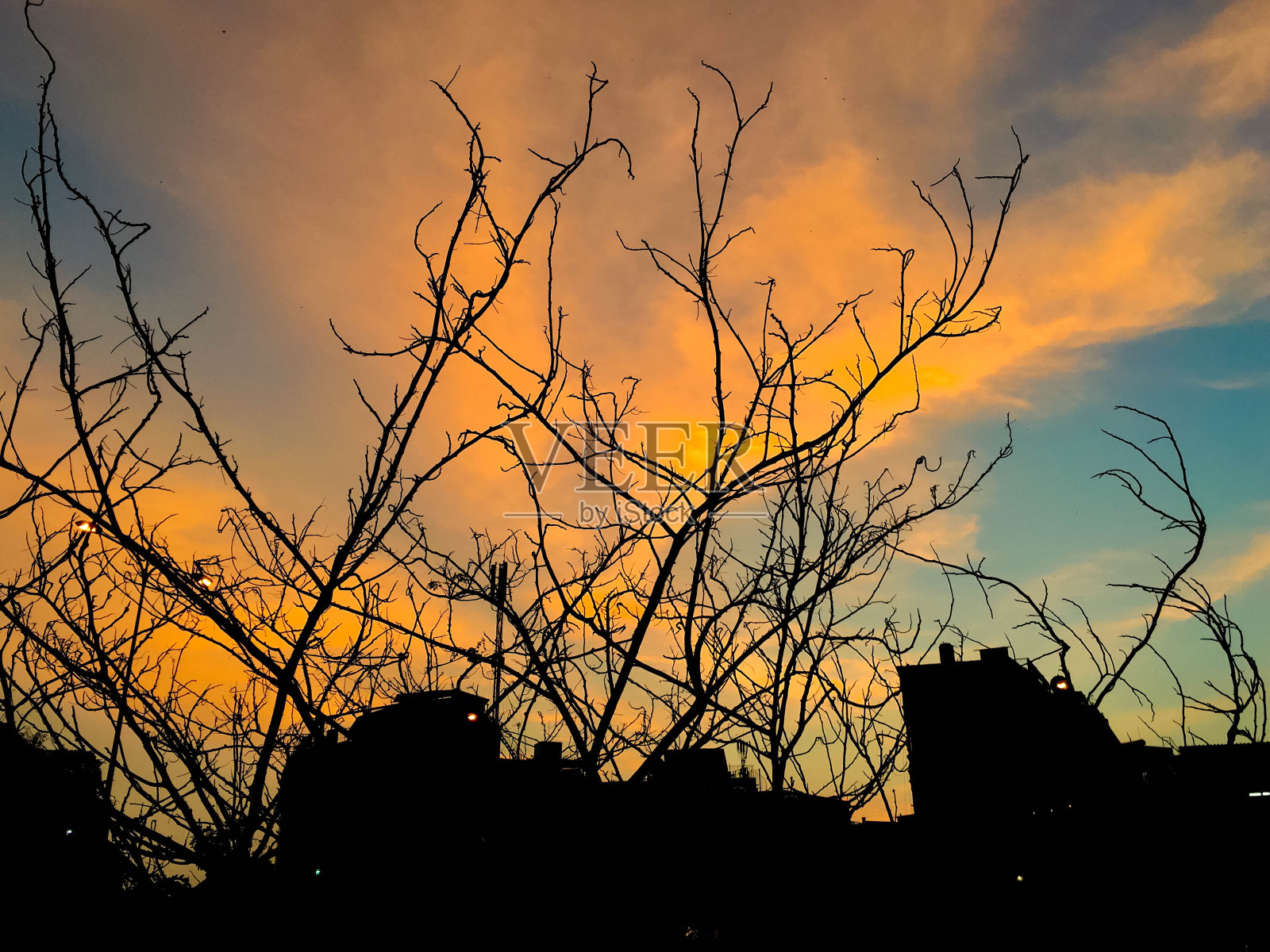 日落时一棵树的剪影照片摄影图片