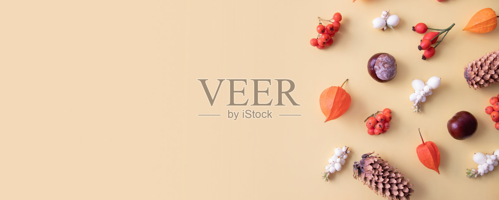 秋季布局具绒萼、球果、叶、花楸。平铺模式自然礼物的秋天在旗帜格式的黄色背景。本空间照片摄影图片