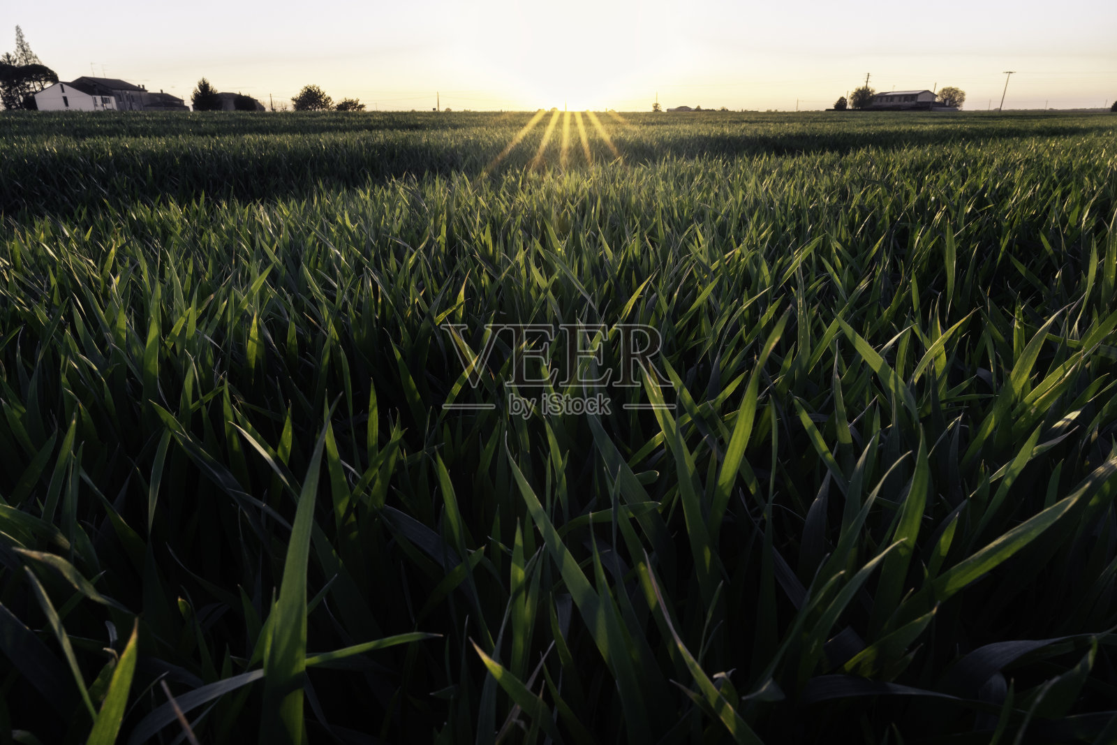 费拉拉乡村的日落照片摄影图片