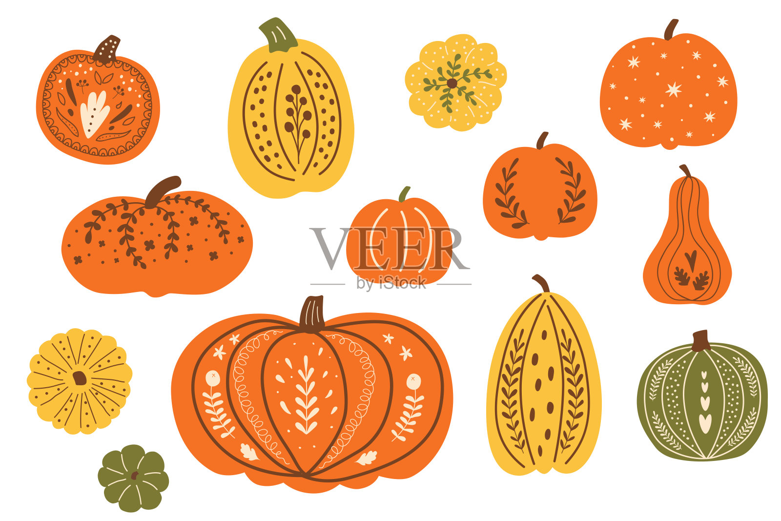 感恩节的节日南瓜。装饰性秋天南瓜集。秋天南瓜向量。俯视图插画图片素材